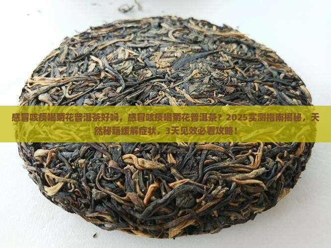 感冒咳痰喝菊花普洱茶好吗