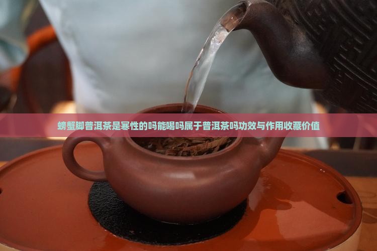 螃蟹脚普洱茶是寒性的吗