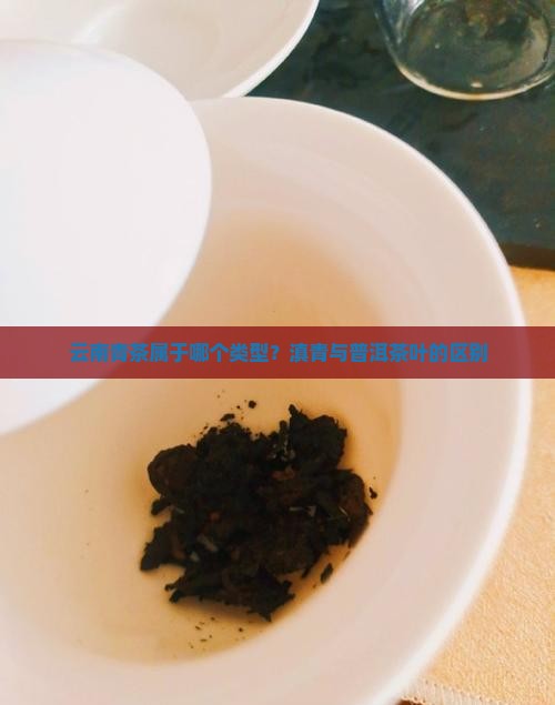 云南青茶属于哪个类型