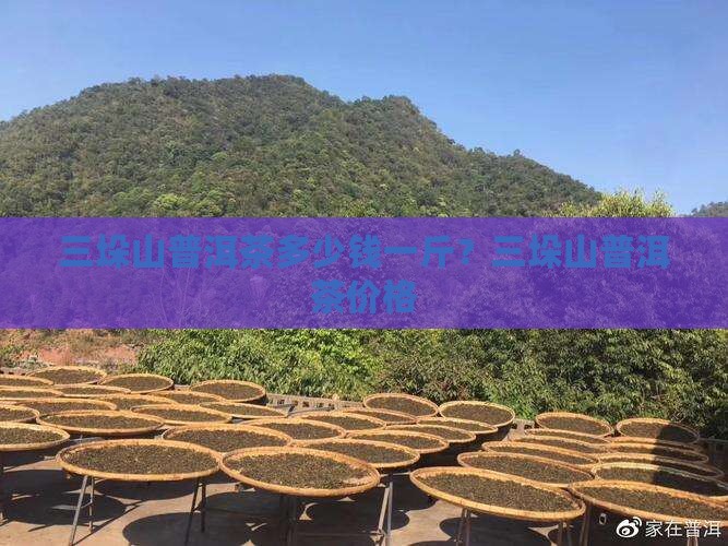 三垛山普洱茶多少钱一斤