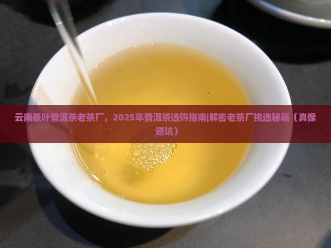云南茶叶普洱茶老茶厂
