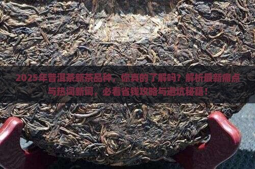 普洱茶新茶品种