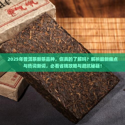 普洱茶新茶品种