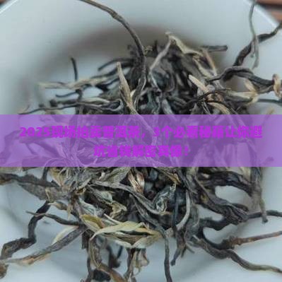 现场拍卖普洱茶