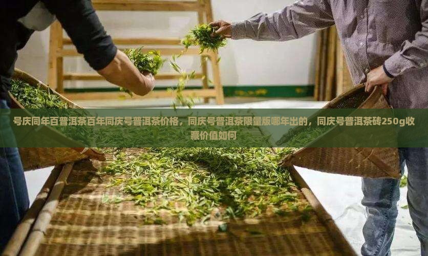 号庆同年百普洱茶