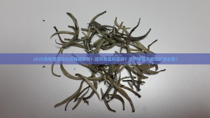 青柑普洱茶外有白点好吗