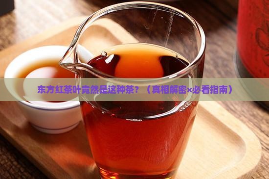 东方红茶叶属于什么茶