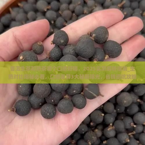 普洱生茶和熟茶哪个口感好喝