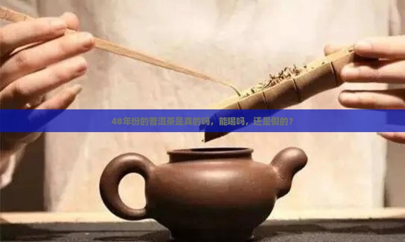 48年份的普洱茶是真的吗
