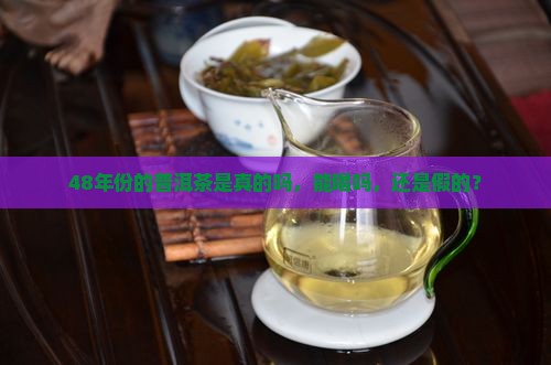 48年份的普洱茶是真的吗