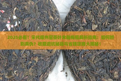 宋代耀州窑茶叶末釉梅瓶 宋代耀州窑茶叶末釉梅瓶