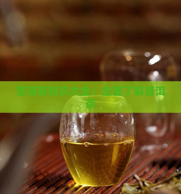 最全普洱茶知识问答
