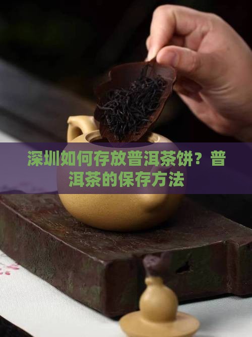 深圳如何存放普洱茶饼