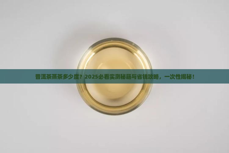 普洱茶蒸茶多少度