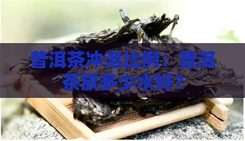 普洱茶放多少水好冲泡呢