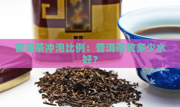 普洱茶放多少水好冲泡呢