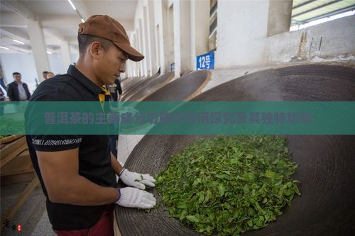 普洱茶的主要成分功能