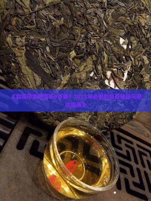 勐海印象普洱茶6克装