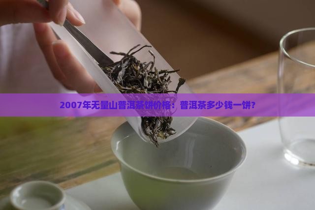 2007年无量山普洱茶饼价格