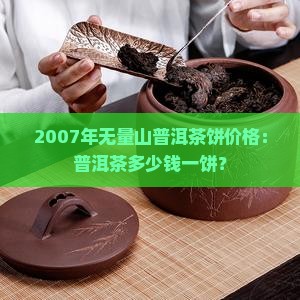 2007年无量山普洱茶饼价格