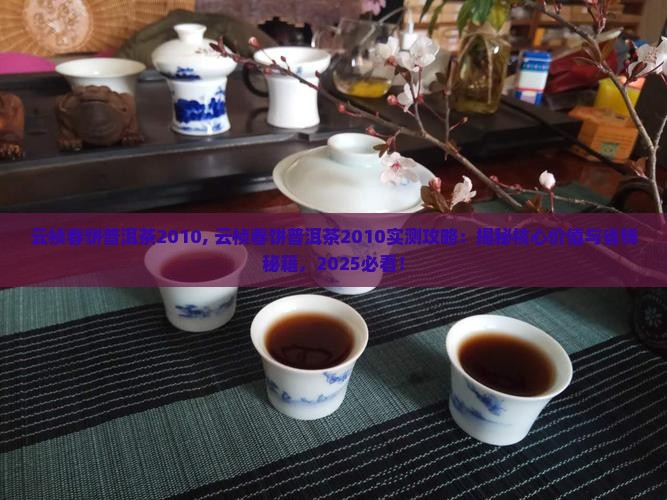 云桢春饼普洱茶2010