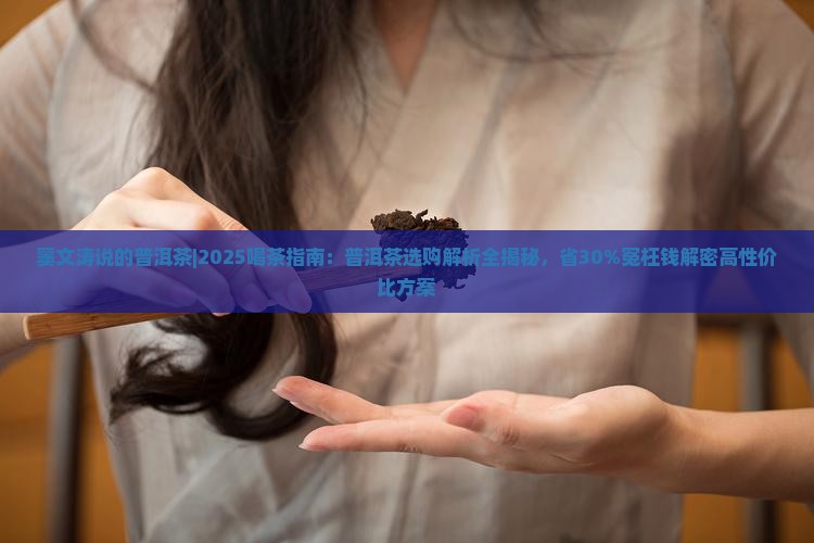 窦文涛说的普洱茶