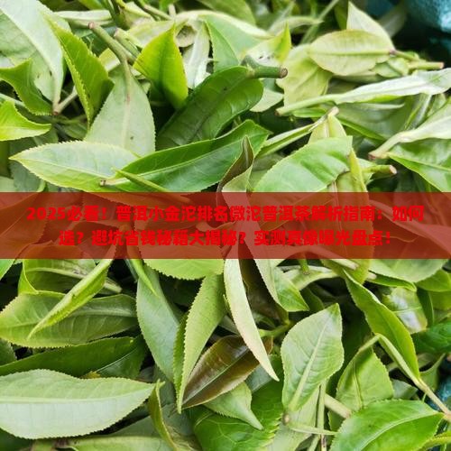 普洱小金沱排名微沱普洱茶