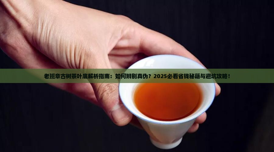 老班章古树茶叶底