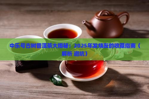 中乐号古树普洱茶