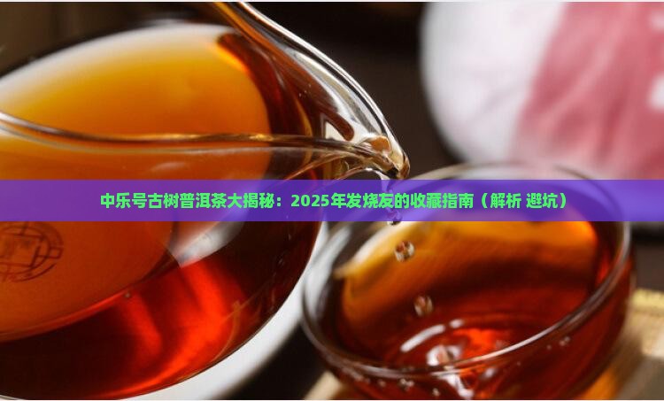 中乐号古树普洱茶