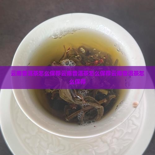 云南普洱茶怎么保荐