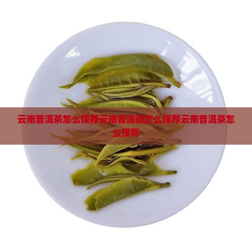 云南普洱茶怎么保荐