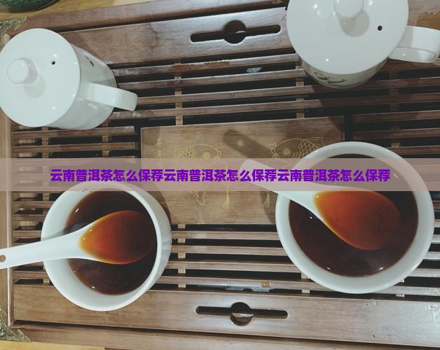 云南普洱茶怎么保荐