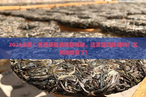 2018年普洱茶上涨