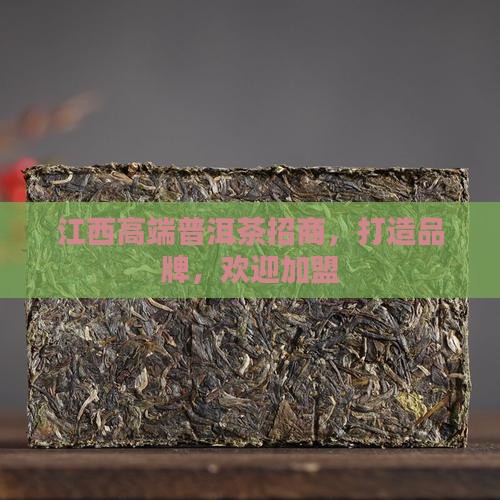 江西高端熟普洱茶招商