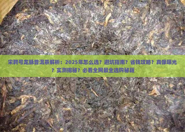 宋聘号龙脉普洱茶