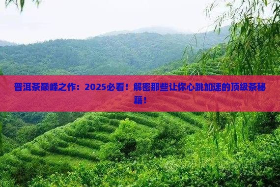 普洱茶巅峰之作