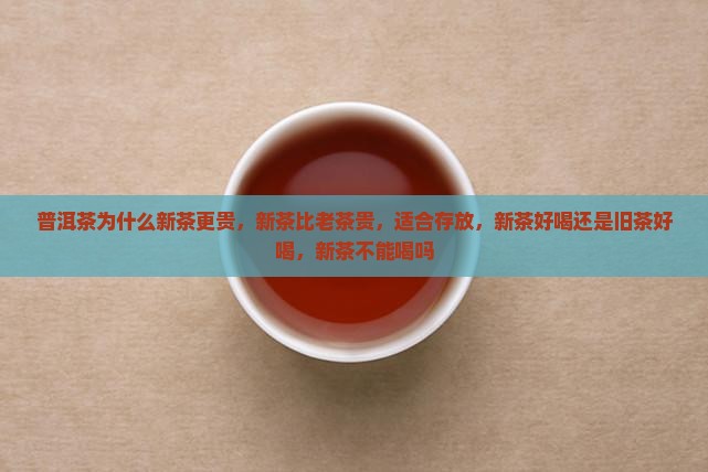 普洱茶为什么新茶更贵