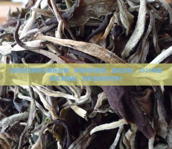 班章普洱茶有没有防伪