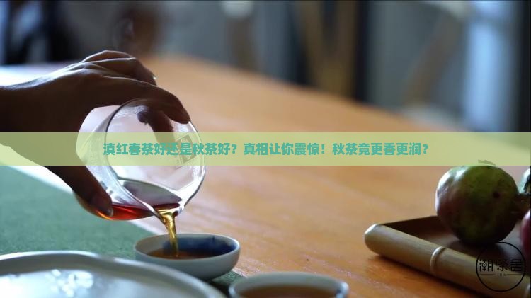 滇红春茶好还是秋茶好
