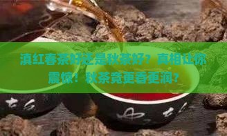 滇红春茶好还是秋茶好