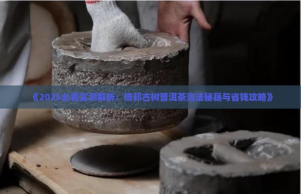 倚邦古树普洱茶怎么泡