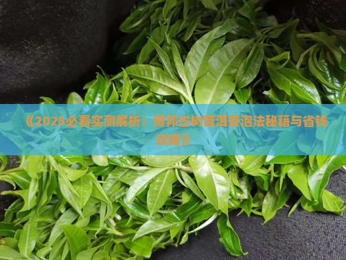 倚邦古树普洱茶怎么泡