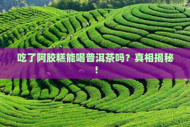 吃了阿胶糕能喝普洱茶吗