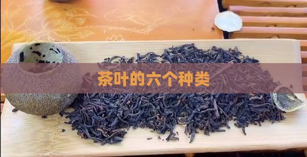 茶叶的六个种类