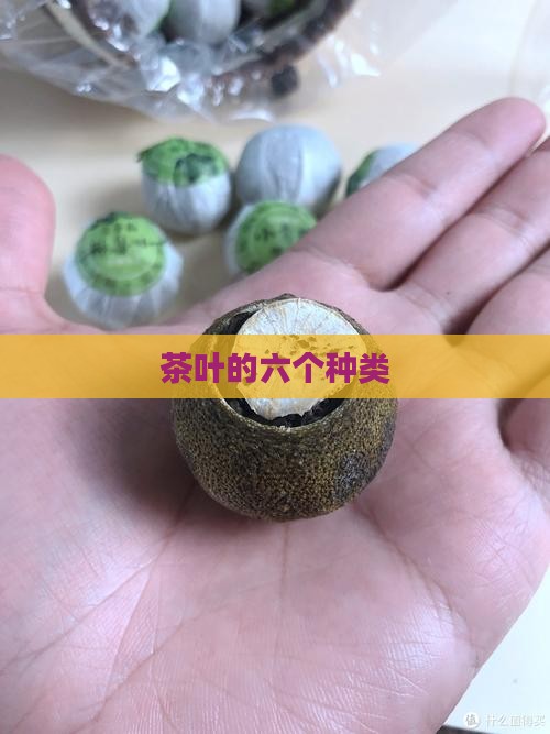 茶叶的六个种类