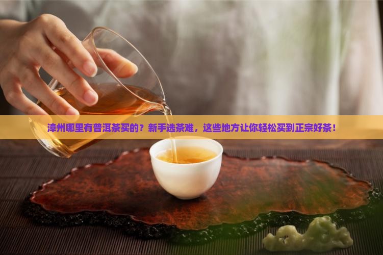 漳州哪里有普洱茶买的