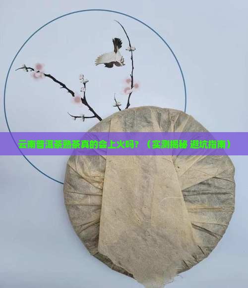 云南普洱茶熟茶上火吗 云南普洱茶熟茶上火吗