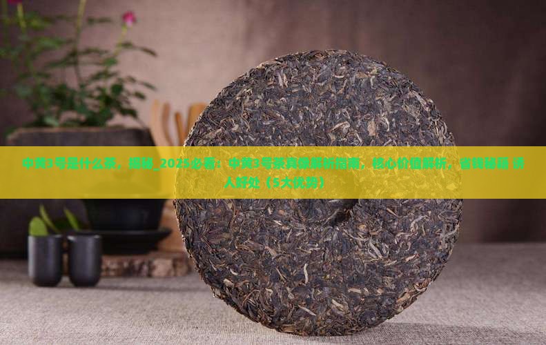 中黄3号是什么茶