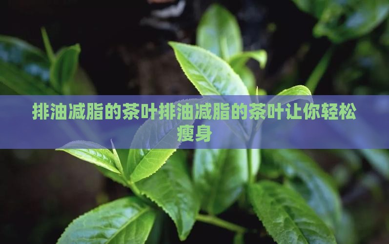 排油减脂的茶叶